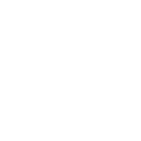 ICSC - International Computer Science Competition